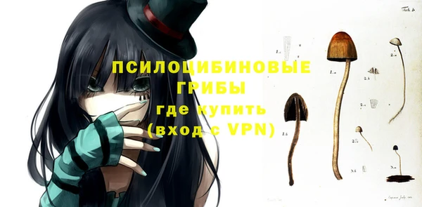 apvp Алексеевка