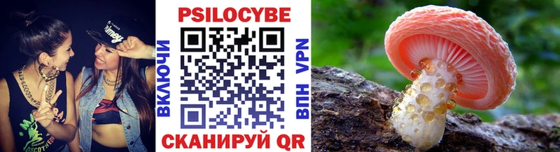 Псилоцибиновые грибы Magic Shrooms  Талица 